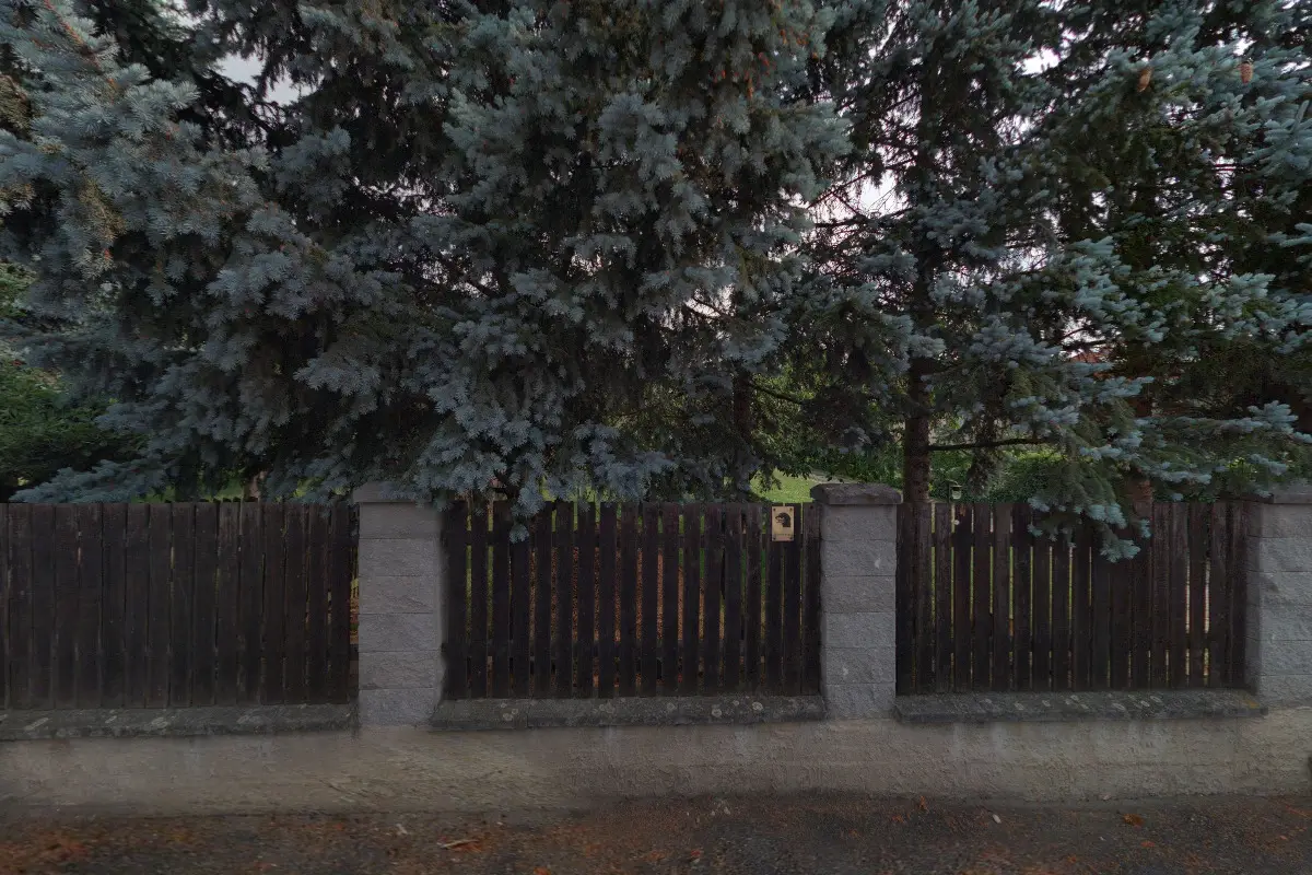 Judo Proboštov